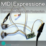 MIDI Expressione 1F Module