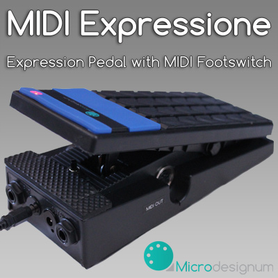 Expression pedal with MIDI toe switch for Line6 M13
